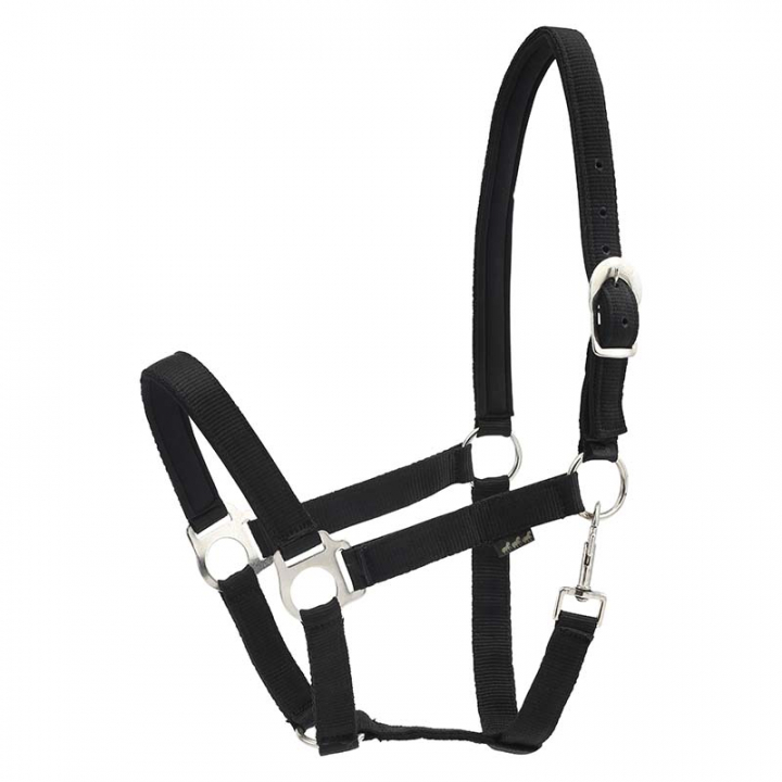 Head Collar HG Black in the group Horse Tack / Halters / Fabric & Nylon Halters at Equinest (36730BA)