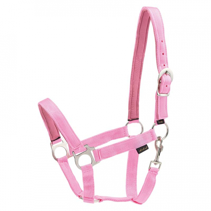 Head Collar HG Pink in the group Horse Tack / Halters / Fabric & Nylon Halters at Equinest (36730PI)
