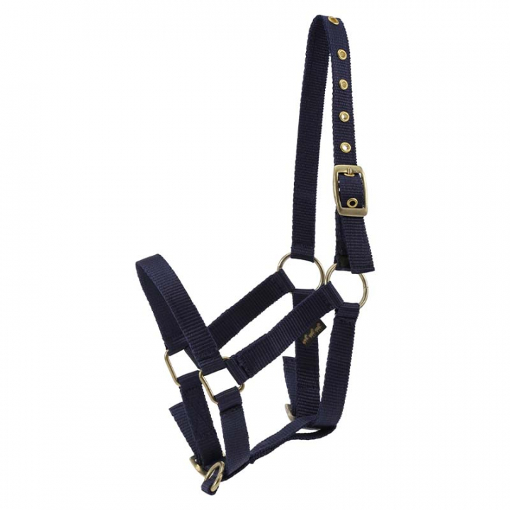 Foal Halter HG Navy in the group Horse Tack / Halters / Foal Halters at Equinest (36988NA)
