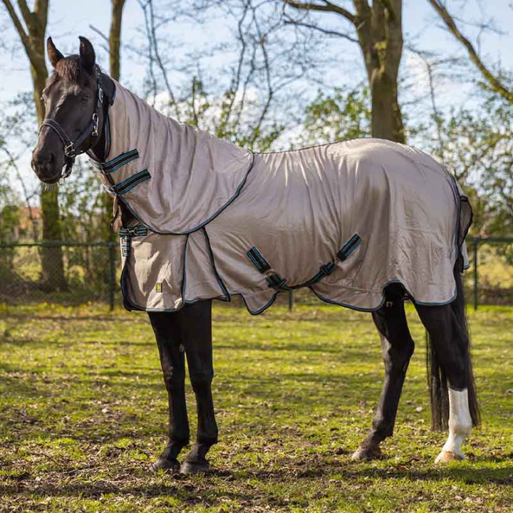 Fly Rug Combo Classic Beige in the group Fly Protection / Rugs at Equinest (372169N0BE_r)