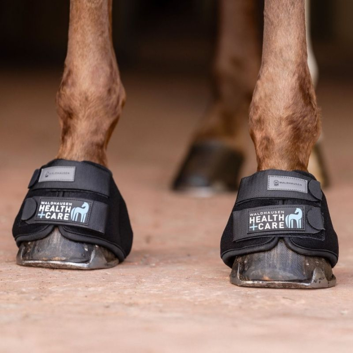 Cooling Bell Boots Black in the group Horse Tack / Leg Protection / Bell Boots at Equinest (3753101SBA_r)