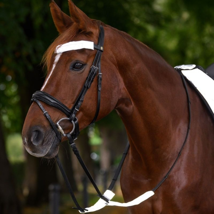 Bridle Reflector Set 3-pack Silver in the group Riding Equipment / Reflective Equestrian Wear at Equinest (380511SI)