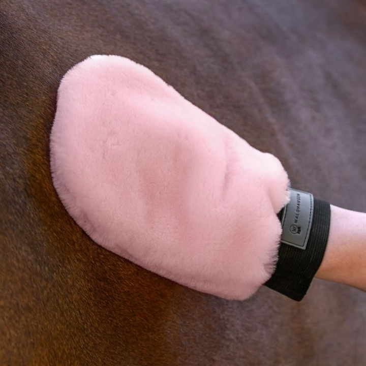 Grooming Mitt Lucky Lambskin Pink in the group Grooming & Health Care / Horse Brushes / Grooming Gloves at Equinest (3835732PI)