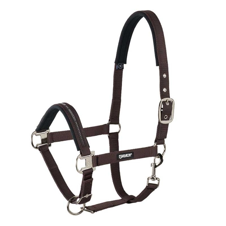 Headcollar Pin Buckle Brown in the group Horse Tack / Halters / Fabric & Nylon Halters at Equinest (410000_B_r)