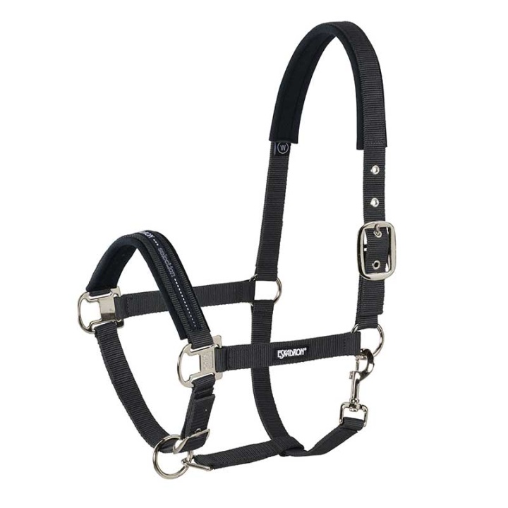 Headcollar Pin Buckle Black in the group Horse Tack / Halters / Fabric & Nylon Halters at Equinest (410000_S_r)