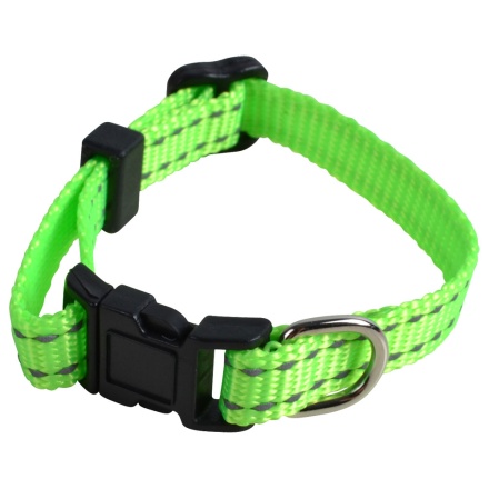 Puppy MITZO Neon Green 14-24cm x 10mm in the group Dog / Dog Collars & Harnesses at Equinest (41010020Ng14-24x1)