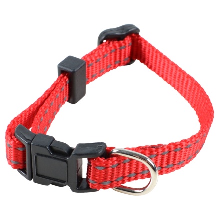 Puppy MITZO Red in the group Dog / Dog Collars & Harnesses at Equinest (41010020_Ro_r)