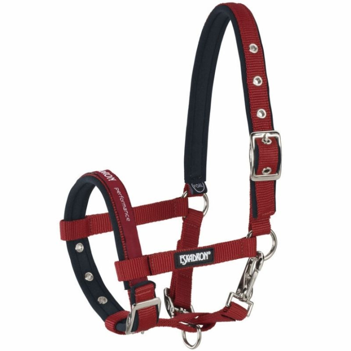Foal Halter Red in the group Horse Tack / Halters / Foal Halters at Equinest (413000812950RE)