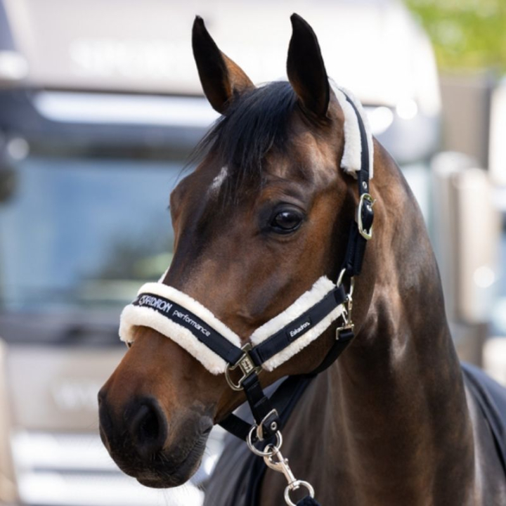 Halter Fauxfur Double Pin Black in the group Horse Tack / Halters / Fabric & Nylon Halters at Equinest (42070083BA_r)