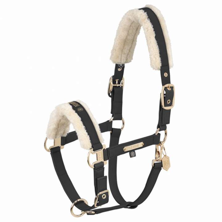 Leather Halter Faux Leather Double Pin FF Heritage Black in the group Horse Tack / Leg Protection / Brushing Boots & Dressage Boots at Equinest (420857862290BA_r)