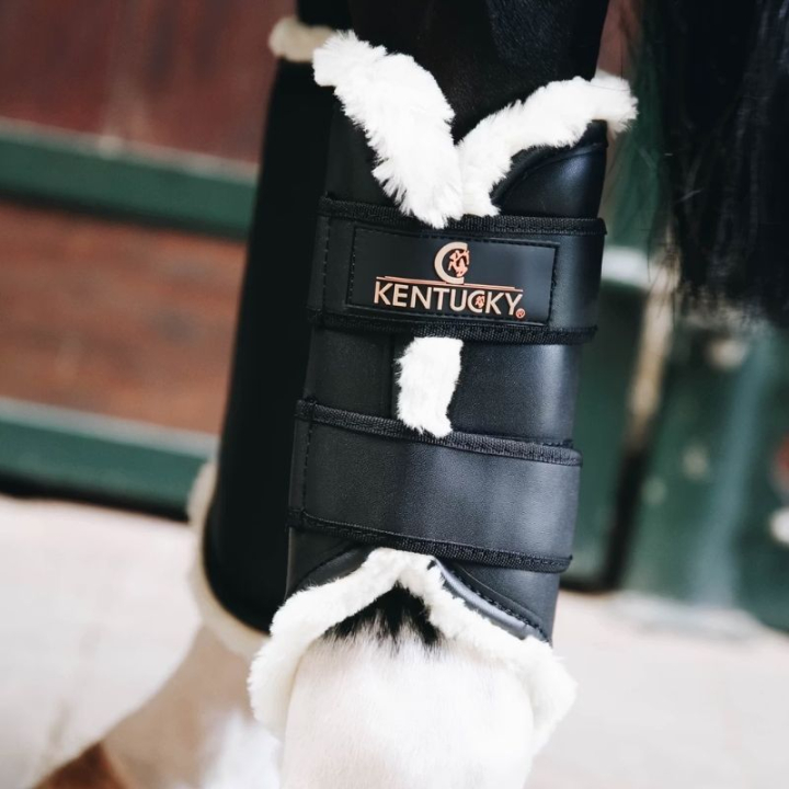 Brushing Boots Leather Hind Black in the group Horse Tack / Leg Protection / Brushing Boots & Dressage Boots at Equinest (4230401FBA_r)