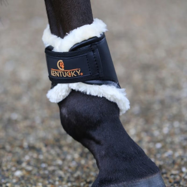 Brushing Boots Leather Hind Short Black in the group Horse Tack / Leg Protection / Brushing Boots & Dressage Boots at Equinest (4230501FBA_r)