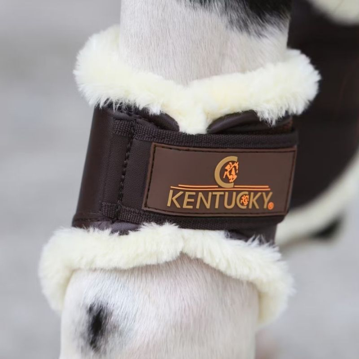 Brushing Boots Leather Hind Short Brown in the group Horse Tack / Leg Protection / Brushing Boots & Dressage Boots at Equinest (4230505FBR_r)
