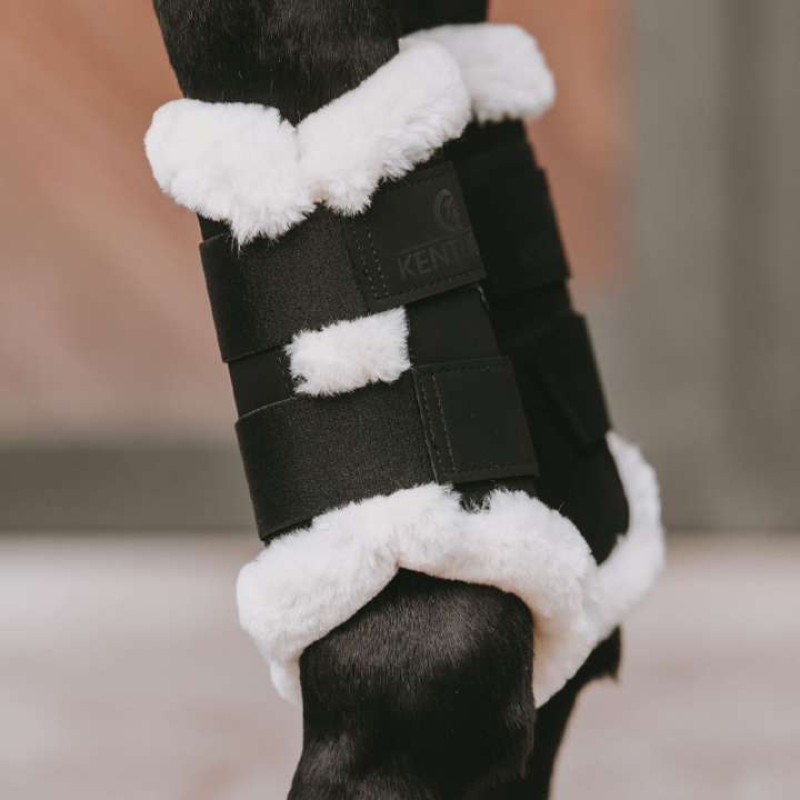 Brushing Boots Air Black in the group Horse Tack / Leg Protection / Brushing Boots & Dressage Boots at Equinest (42309Sv_r)