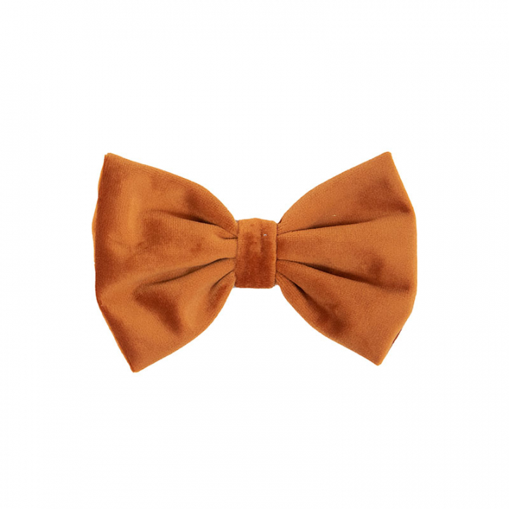 Dog Bow Tie Orange in the group Dog / Dog Grooming & Styling at Equinest (42438Or_r)