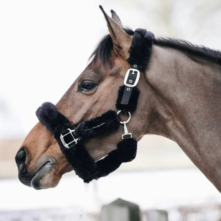 Transport Halter Sheepskin Black in the group Horse Tack / Halters / Fabric & Nylon Halters at Equinest (42502Sv_r)