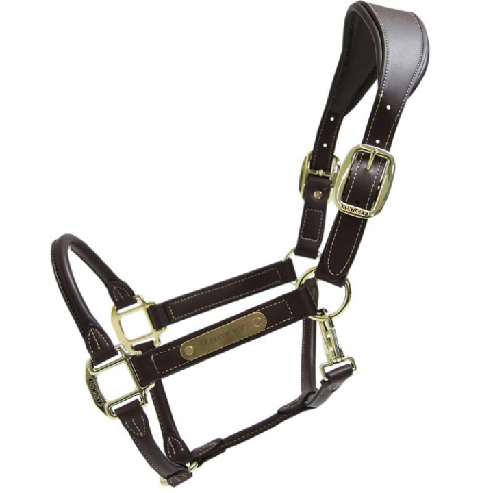 Anatomic Synthetic Leather Halter Brown in the group Horse Tack / Halters / Leather Halters at Equinest (42513Br_r)