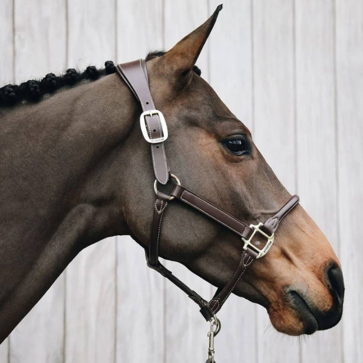 Anatomic Synthetic Leather Halter Brown in the group Horse Tack / Halters / Leather Halters at Equinest (42513Br_r)
