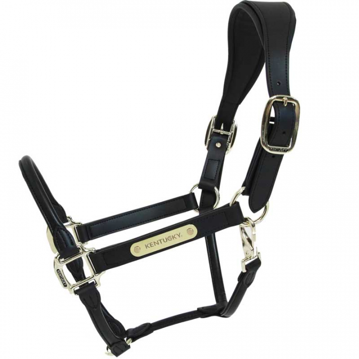 Anatomic Synthetic Leather Halter Black in the group Horse Tack / Halters / Leather Halters at Equinest (42513Sv_r)