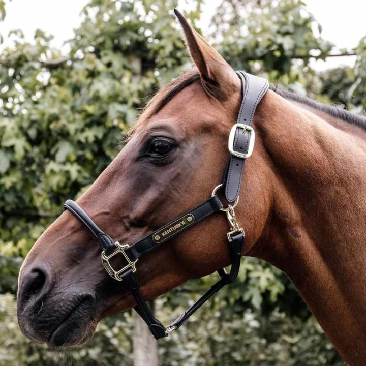 Anatomic Synthetic Leather Halter Black in the group Horse Tack / Halters / Leather Halters at Equinest (42513Sv_r)
