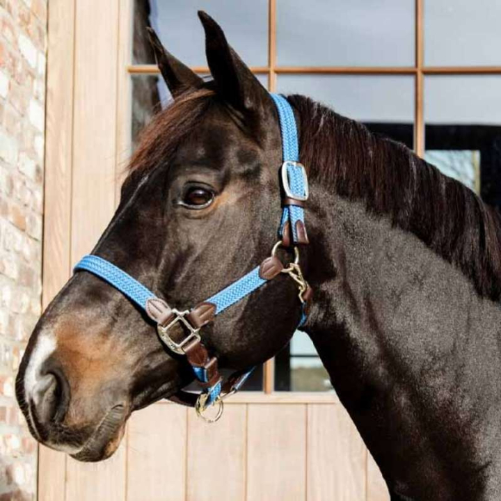 Halter Plaited Nylon Light Blue in the group Horse Tack / Halters / Fabric & Nylon Halters at Equinest (4251661COBLBL_r)