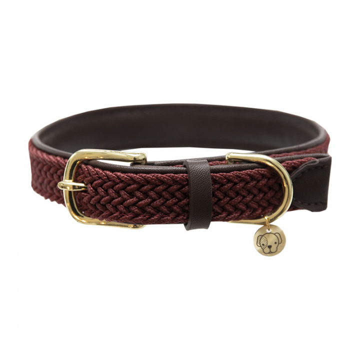 Dog Collar Braided Nylon Burgundy in the group Dog / Dog Collars & Harnesses at Equinest (42517Vn_r)