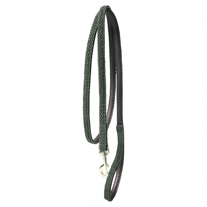 Braided Nylon Lead 2m Olive Green in the group Dog / Leashes at Equinest (42519GN)