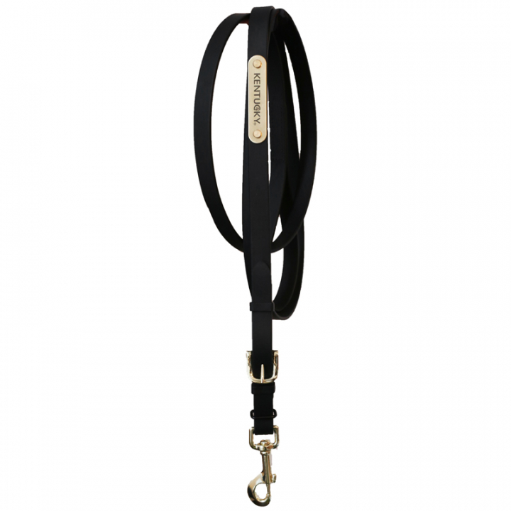 Leather Halter Presentation Artificial Black in the group Horse Tack / Martingale & Breastplate / Martingale at Equinest (425270103BA)