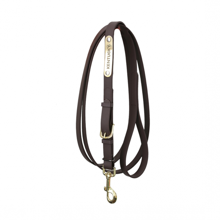 Leather Halter Presentation Artificial Brown in the group Horse Tack / Martingale & Breastplate / Martingale at Equinest (425270503BR)