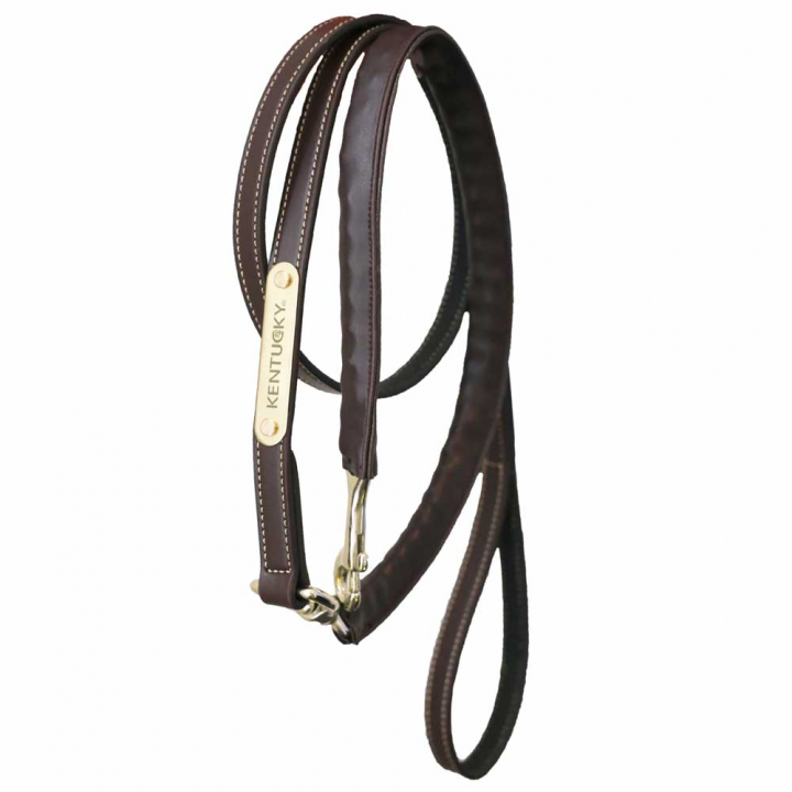 Leather Covered Chain Lead Brown in the group Horse Tack / Lead Ropes & Trailer Ties / Leather Lead Ropes at Equinest (42529BR)