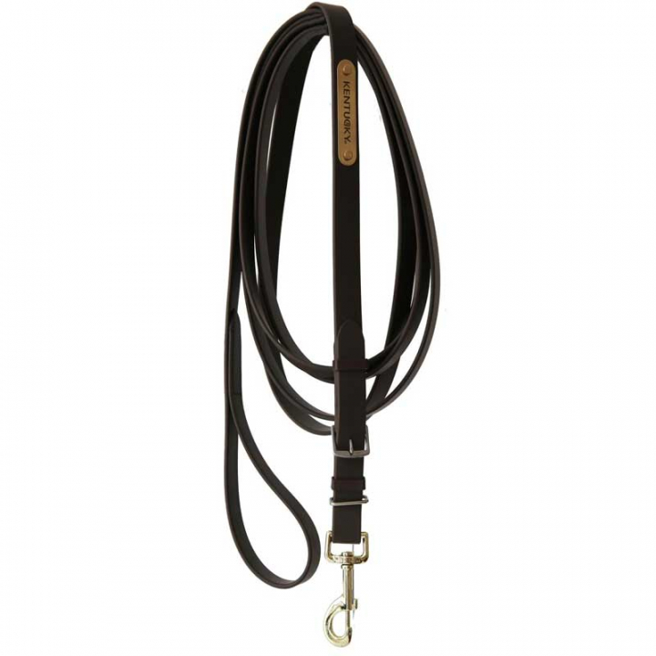 Stallion Lead 4m Brown in the group Horse Tack / Lead Ropes & Trailer Ties / Leather Lead Ropes at Equinest (42530BR)