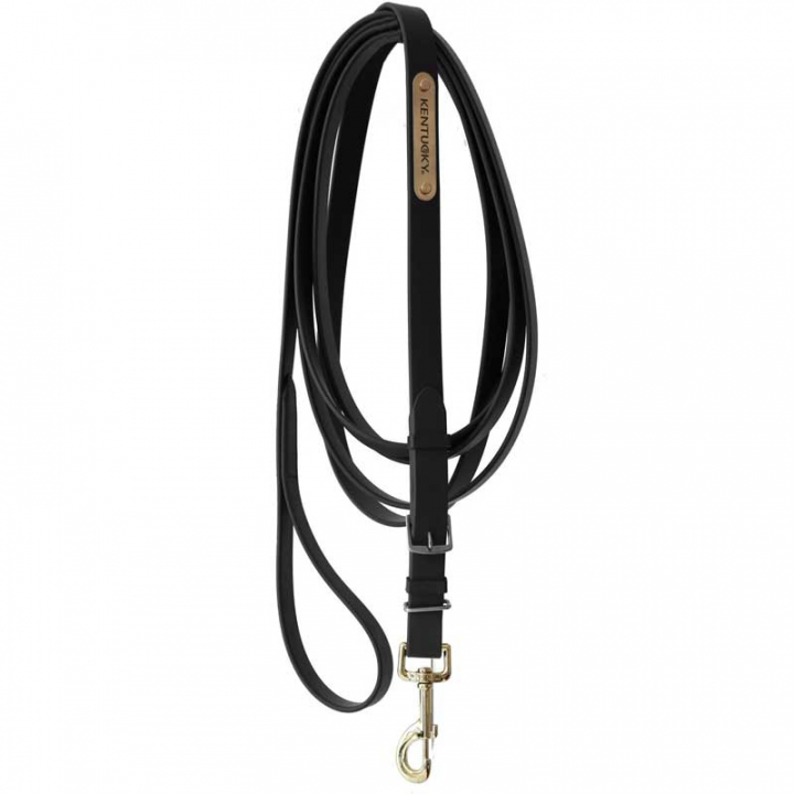 Stallion Lead 4m Black in the group Horse Tack / Lead Ropes & Trailer Ties / Leather Lead Ropes at Equinest (42530SV)