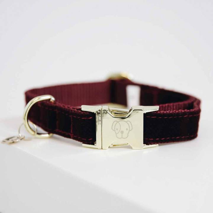 Dog Collar Corduroy Bordeaux in the group Dog / Dog Collars & Harnesses at Equinest (42533Bo_r)