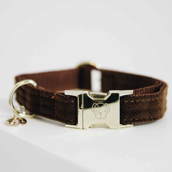 Dog Collar Corduroy Brown in the group Dog / Dog Collars & Harnesses at Equinest (42533Br_r)