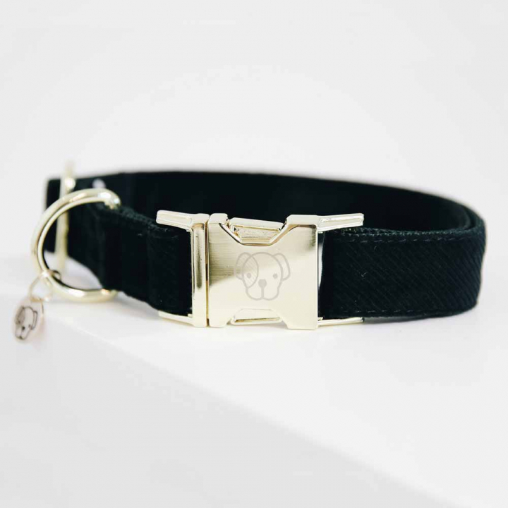 Dog Collar Corduroy Green in the group Dog / Dog Collars & Harnesses at Equinest (42533Gr_r)