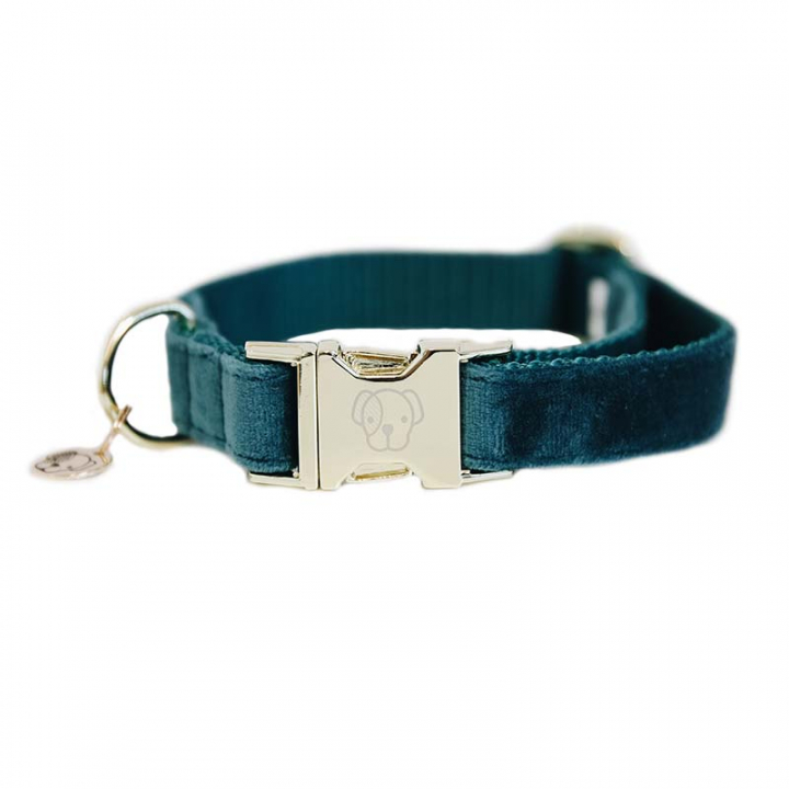 Dog Collar Velvet Emerald Green in the group Dog / Dog Collars & Harnesses at Equinest (42538Gn_r)