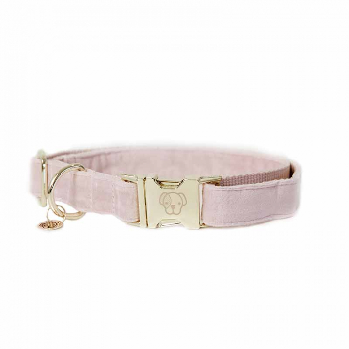 Dog Collar Velvet Old Rose in the group Dog / Dog Collars & Harnesses at Equinest (42538Rs_r)