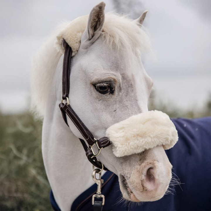 Leather Halter Pony Artificial Sheepskin Brown in the group Horse Tack / Halters / Leather Halters at Equinest (4254105PBR)
