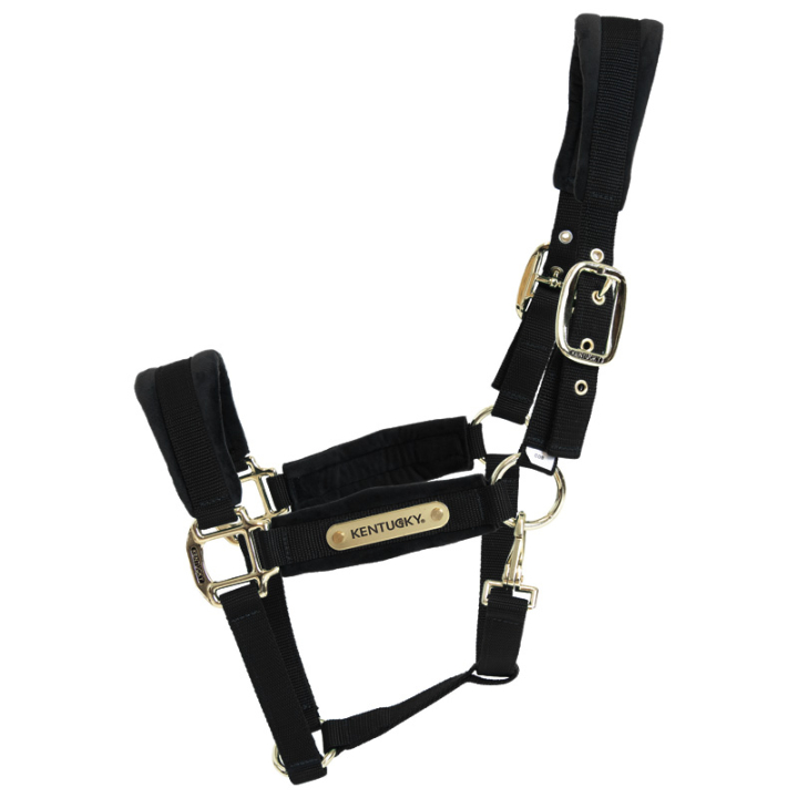 Halter Velvet Black in the group Horse Tack / Halters / Fabric & Nylon Halters at Equinest (4255801COBBA_r)
