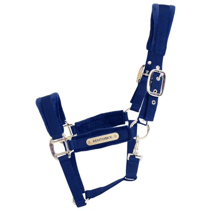 Halter Velvet Navy Blue in the group Horse Tack / Halters / Fabric & Nylon Halters at Equinest (4255803COBNA_r)