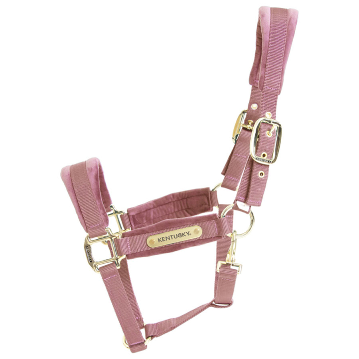 Halter Velvet Old Pink in the group Horse Tack / Halters / Fabric & Nylon Halters at Equinest (4255810COBOPI_r)