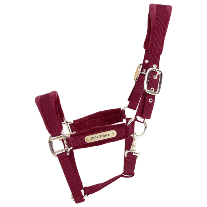 Halter Velvet Bordeaux in the group Horse Tack / Halters / Fabric & Nylon Halters at Equinest (4255817COBWN_r)