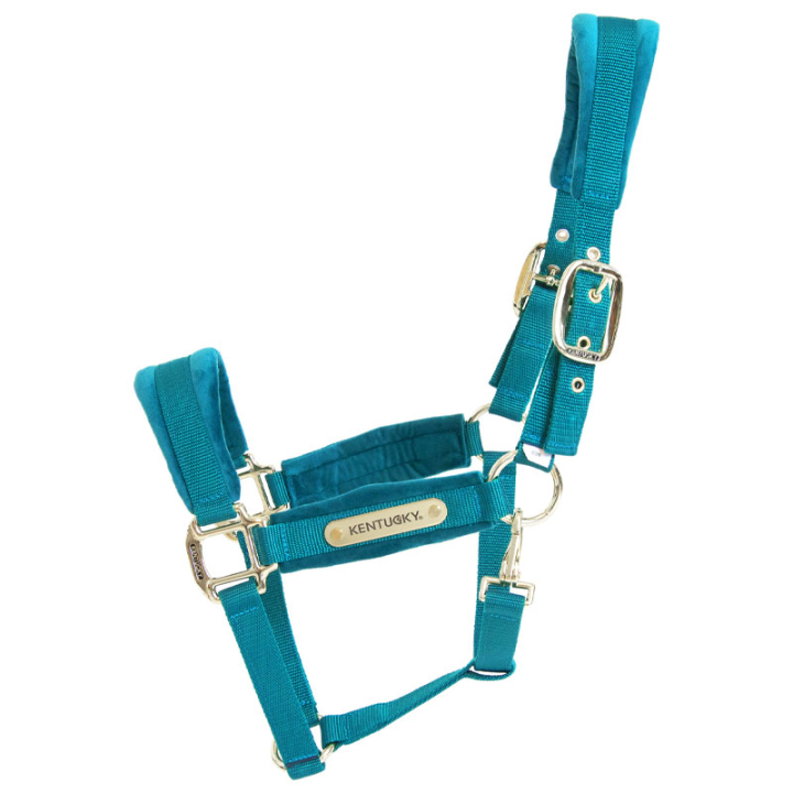 Halter Velvet Emerald Green in the group Horse Tack / Halters / Fabric & Nylon Halters at Equinest (4255871COBSGN_r)