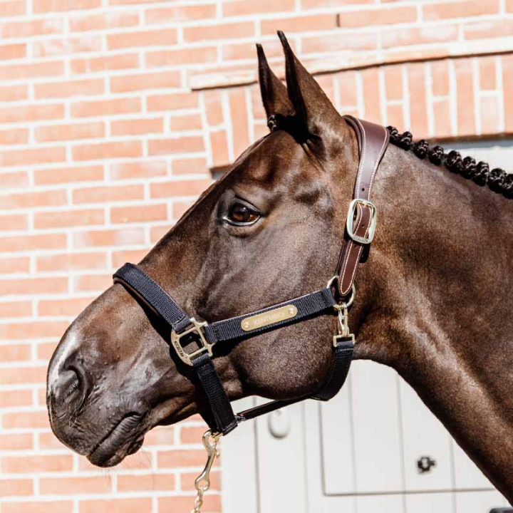 Halter Anatomic Nylon Navy Blue in the group Horse Tack / Halters / Fabric & Nylon Halters at Equinest (4256003COBNA_r)
