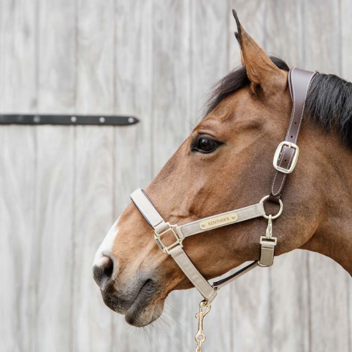 Halter Anatomic Nylon Beige in the group Horse Tack / Halters / Fabric & Nylon Halters at Equinest (4256032COBBE_r)
