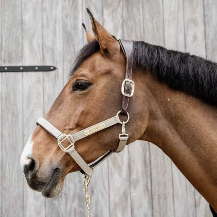 Halter Anatomic Nylon Beige in the group Horse Tack / Halters / Fabric & Nylon Halters at Equinest (4256032COBBE_r)