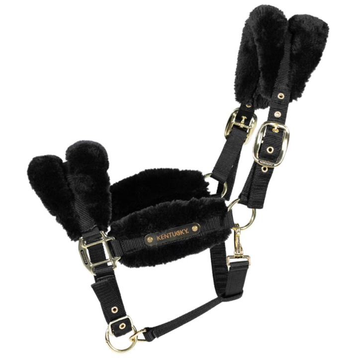 Halter Sheepskin Soft Black in the group Horse Tack / Halters / Fabric & Nylon Halters at Equinest (4256501COBBA_r)