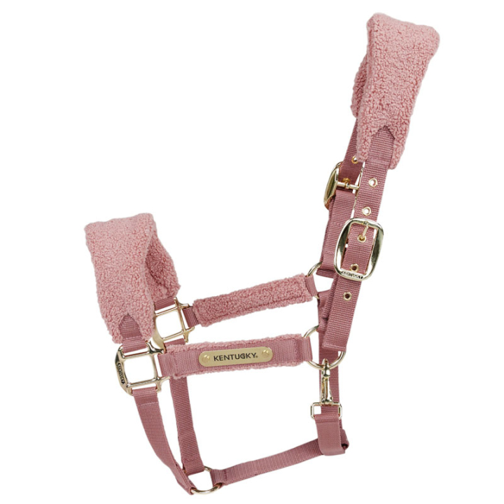 Halter Teddy Fleece Old Pink in the group Horse Tack / Halters / Fabric & Nylon Halters at Equinest (4257310COBOPI_r)