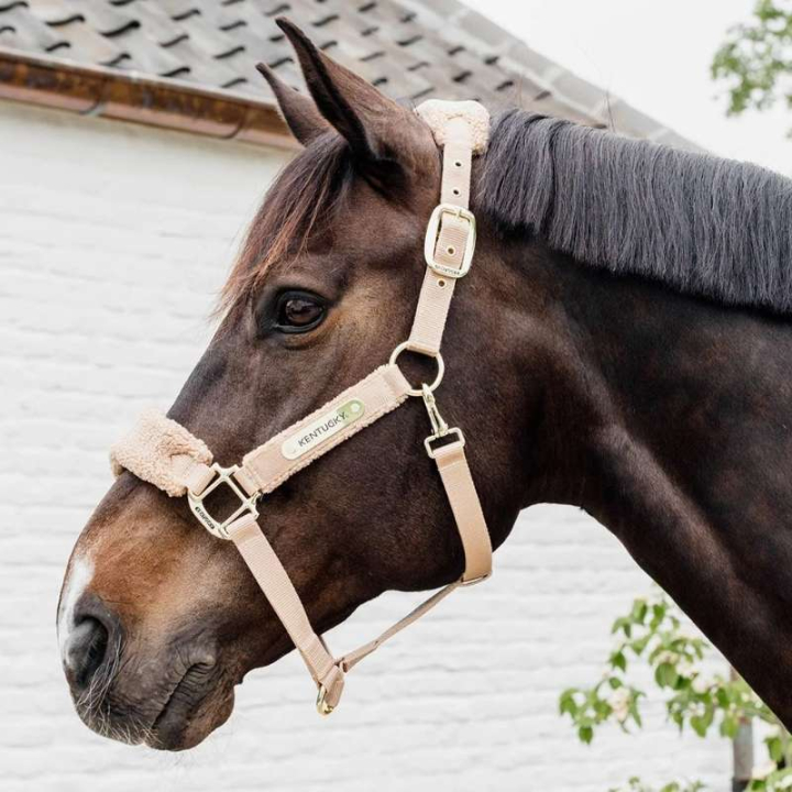 Halter Teddy Fleece Beige in the group Horse Tack / Halters / Fabric & Nylon Halters at Equinest (4257332COBBE_r)