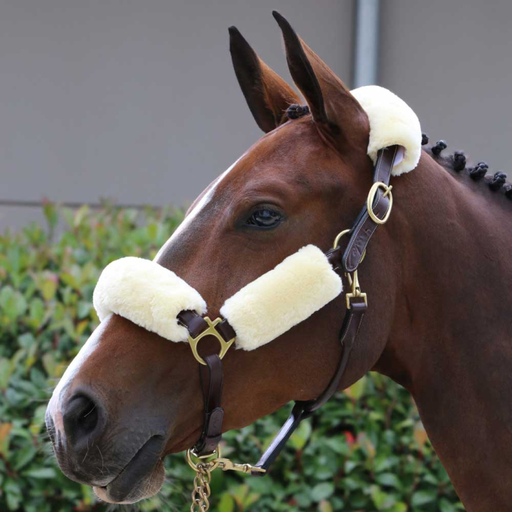 Sheepskin Set for Halter Natural in the group Horse Tack / Bridles & Browbands / Noseband Guard, Chin Protection & Crown Pads at Equinest (42603NA)
